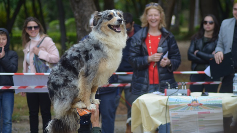 Dog Fest 2019: la fotogallery dell’evento